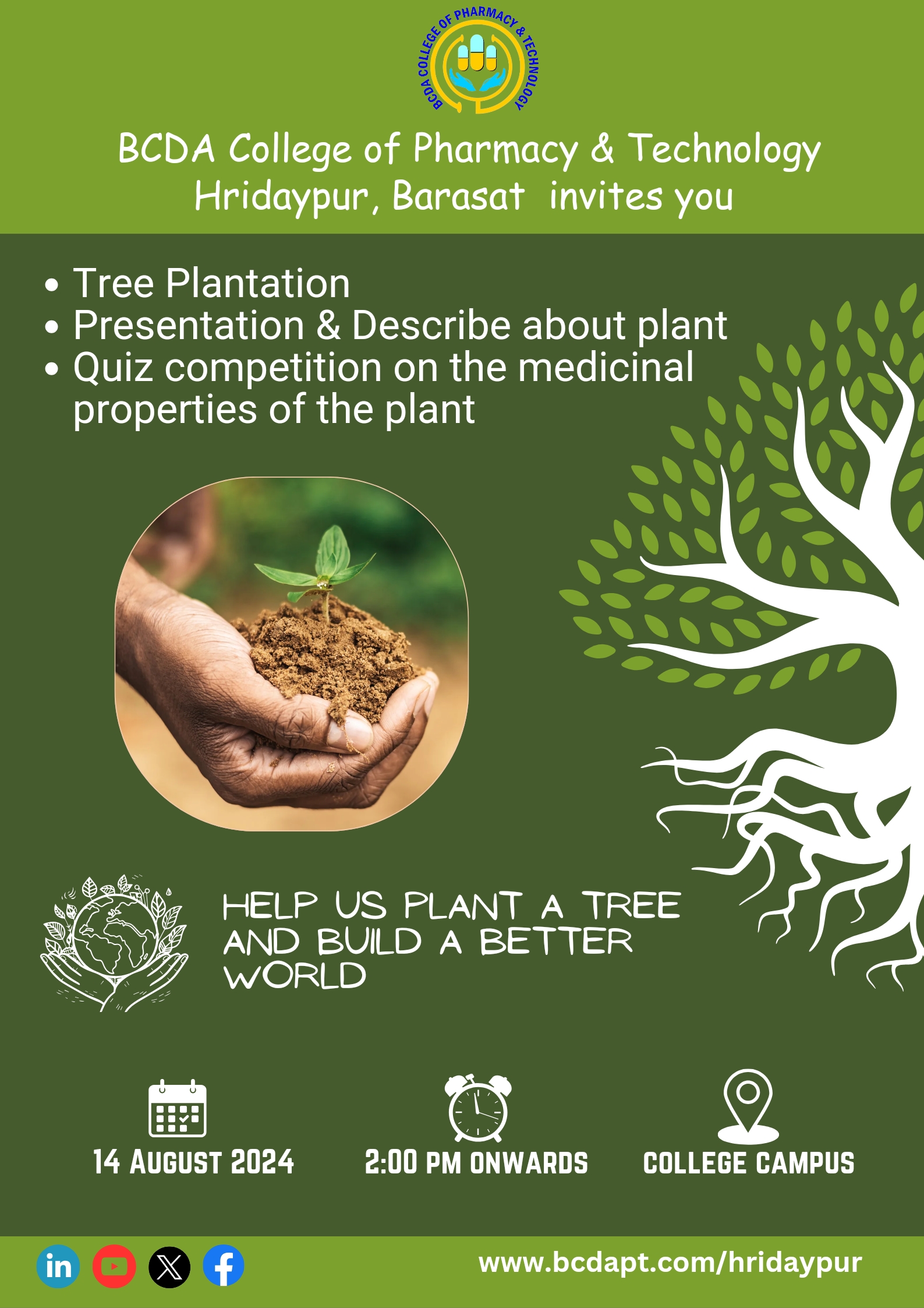 Tree Plantation